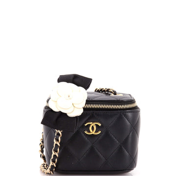 Chanel Camellia Bow Vanity Case with Chain Quilted Lambskin Mini