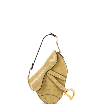 Christian Dior Saddle Handbag Python Mini