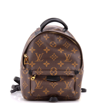 Louis Vuitton Palm Springs Backpack Monogram Canvas Mini
