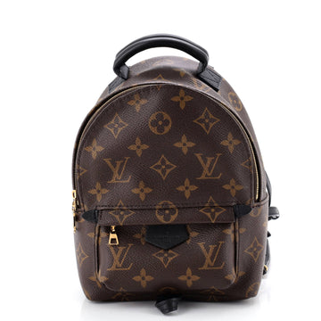 Louis Vuitton Palm Springs Backpack Monogram Canvas Mini