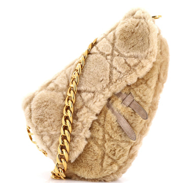 Christian Dior x ERL Venice Saddle Chain Bag Cannage Quilt Shearling