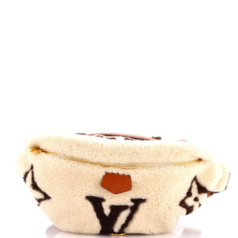 Louis Vuitton Bum Bag Monogram Giant Teddy Fleece
