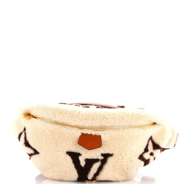 Louis Vuitton Bum Bag Monogram Giant Teddy Fleece