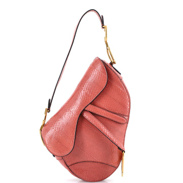Christian Dior Saddle Handbag Python Medium