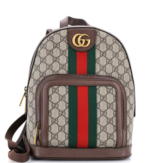 Gucci Ophidia Backpack GG Coated Canvas and Leather Small