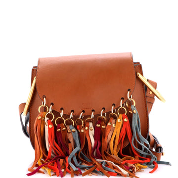 Chloe Multicolor Fringe Hudson Bag Leather Small