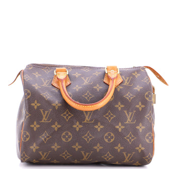 Louis Vuitton Speedy Handbag Monogram Canvas 25