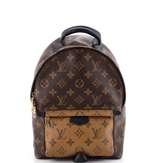 Louis Vuitton Palm Springs Backpack Reverse Monogram Canvas PM