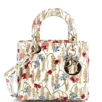 Christian Dior My ABCDior Lady Dior Bag Embroidered Printed Leather