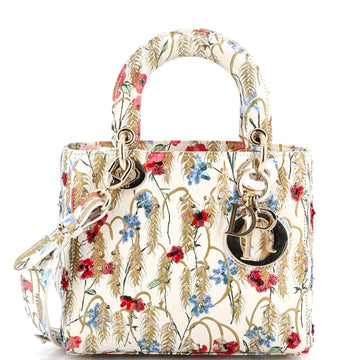 Christian Dior My ABCDior Lady Dior Bag Embroidered Printed Leather