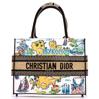Christian Dior Souvenir Book Tote Embroidered Raffia Medium