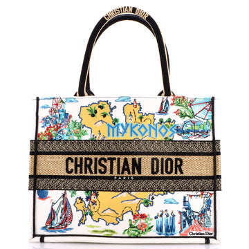 Christian Dior Souvenir Book Tote Embroidered Raffia Medium