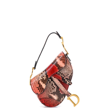 Christian Dior Saddle Handbag Python Mini