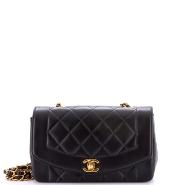 Chanel Vintage Diana Flap Bag Quilted Lambskin Small
