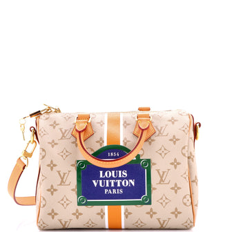 Louis Vuitton Speedy Bandouliere Bag Monopaname Canvas 25
