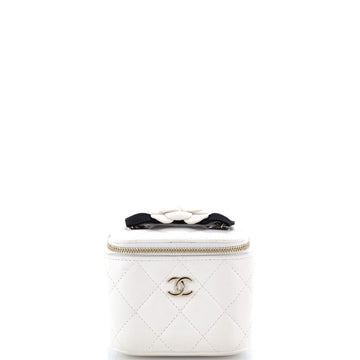Chanel Camellia Bow Vanity Case with Chain Quilted Lambskin Mini