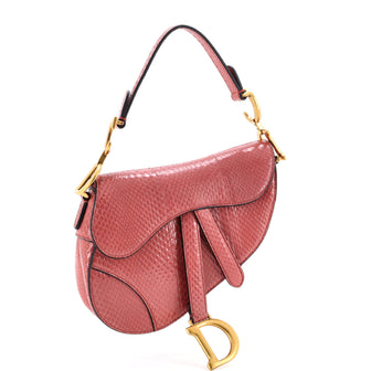 Christian Dior Saddle Handbag Python Mini