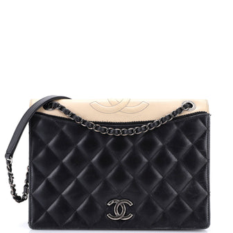 Chanel Ballerine Flap Bag Quilted Lambskin Medium
