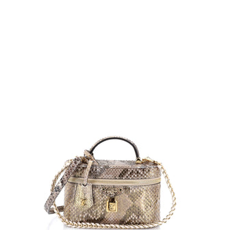 Louis Vuitton Vanity Chain Pouch Python