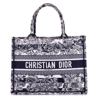 Christian Dior Book Tote Embroidered Canvas Medium