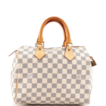 Louis Vuitton Speedy Handbag Damier 25