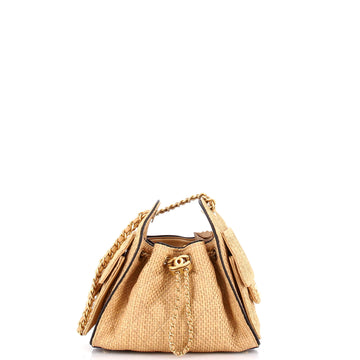 Chanel 25 Hobo Bag Quilted Raffia Mini