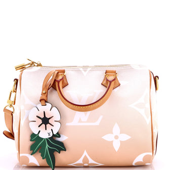 Louis Vuitton Speedy Bandouliere Bag By The Pool Monogram Giant 25