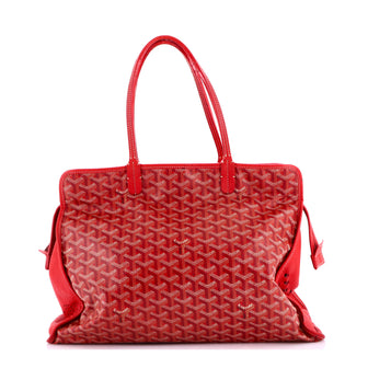 Goyard Hardy Pet Carrier Coated Canvas PM