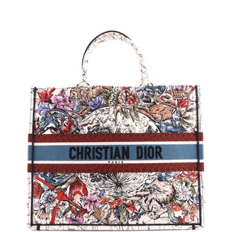Christian Dior Book Tote Zodiac Embroidered Canvas