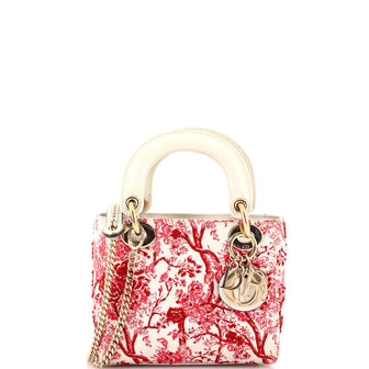 Christian Dior Lady Dior Chain Bag Embroidered Calfskin Mini