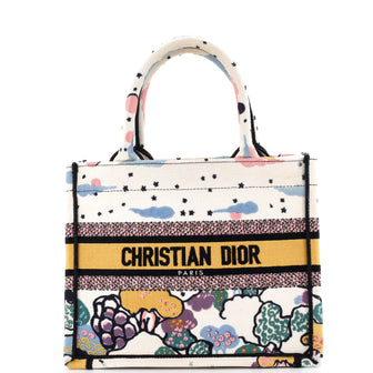 Christian Dior Book Tote Embroidered Canvas Small