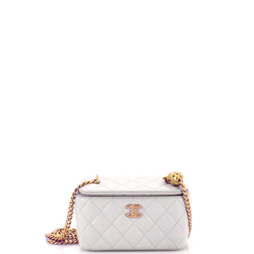 Chanel Sweet Camellia Vanity Case with Chain Quilted Lambskin Small