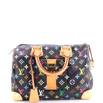Louis Vuitton Speedy Handbag Monogram Multicolor 30