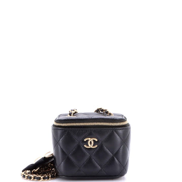 Chanel Camellia Bow Vanity Case with Chain Quilted Lambskin Mini