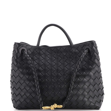 Bottega Veneta Andiamo Top Handle Bag Intrecciato Nappa Medium