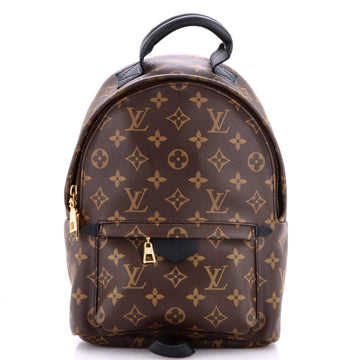 Louis Vuitton Palm Springs Backpack Monogram Canvas PM
