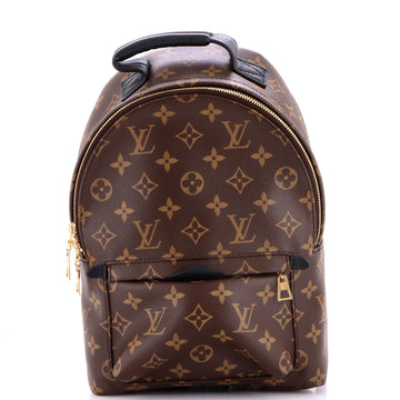 Louis Vuitton Palm Springs Backpack Monogram Canvas PM