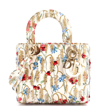Christian Dior My ABCDior Lady Dior Bag Embroidered Printed Leather