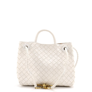 Bottega Veneta Andiamo Top Handle Bag Intrecciato Nappa Small