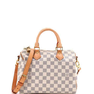 Louis Vuitton Speedy Handbag Damier 25