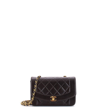 Chanel Vintage Diana Flap Bag Quilted Lambskin Small