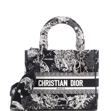 Christian Dior Lady D-Lite Bag Embroidered Canvas Medium