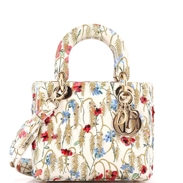 Christian Dior My ABCDior Lady Dior Bag Embroidered Printed Leather