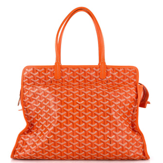 Goyard Hardy Pet Carrier Coated Canvas PM