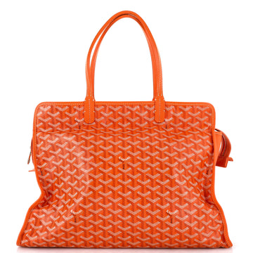 Goyard Hardy Pet Carrier Coated Canvas PM