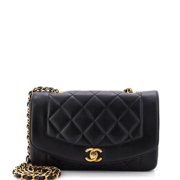 Chanel Vintage Diana Flap Bag Quilted Lambskin Small