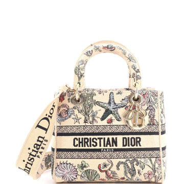 Christian Dior Lady D-Lite Bag Embroidered Raffia Medium