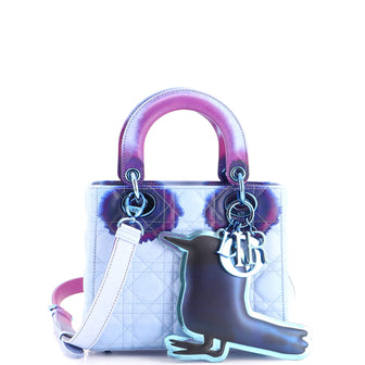 Christian Dior Lady Dior Art Bag Limited Edition Francoise Petrovitch Cannage Quilt Leather Small