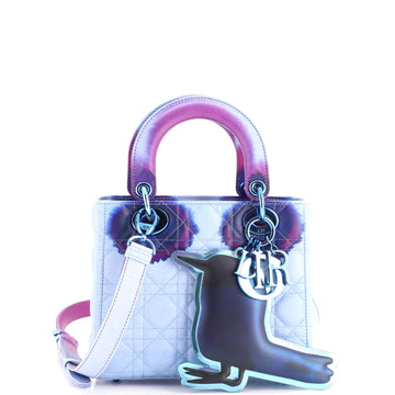 Christian Dior Lady Dior Art Bag Limited Edition Francoise Petrovitch Cannage Quilt Leather Small