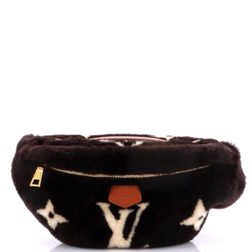 Louis Vuitton Bum Bag Monogram Giant Teddy Fleece